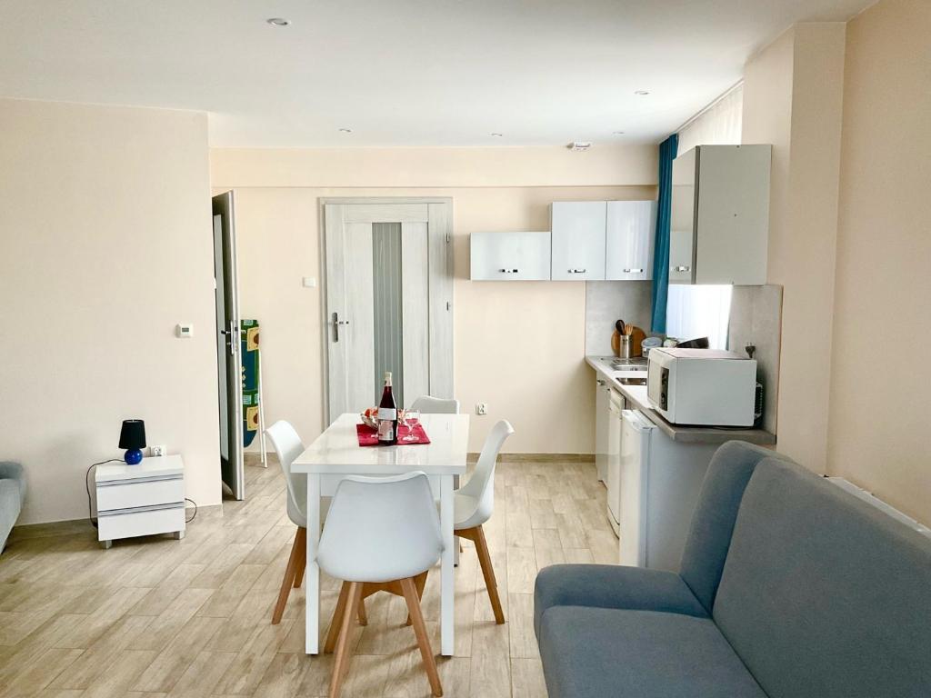 Apartamenty u Lucyny i Lecha - Appartement Avec Terrasse