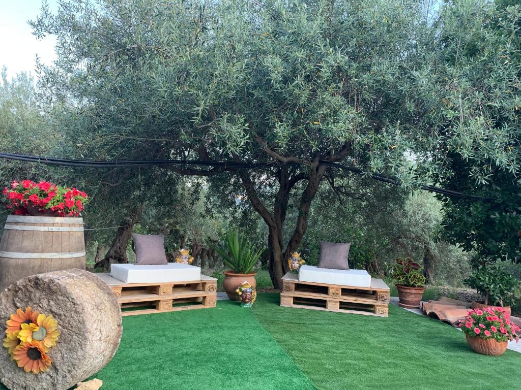 two beds on a green lawn with a tree at Casa Vacanze Magistro in Patti