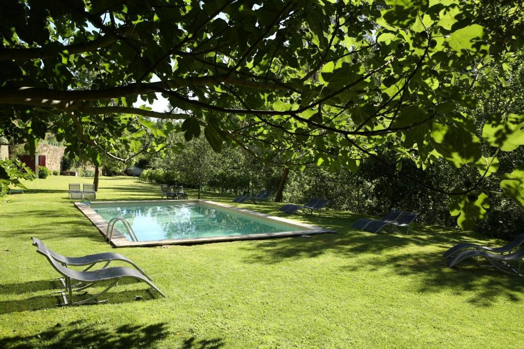 a lawn chair sitting in the grass next to a pool of water at Casa Agricola da Levada Eco Village in Vila Real