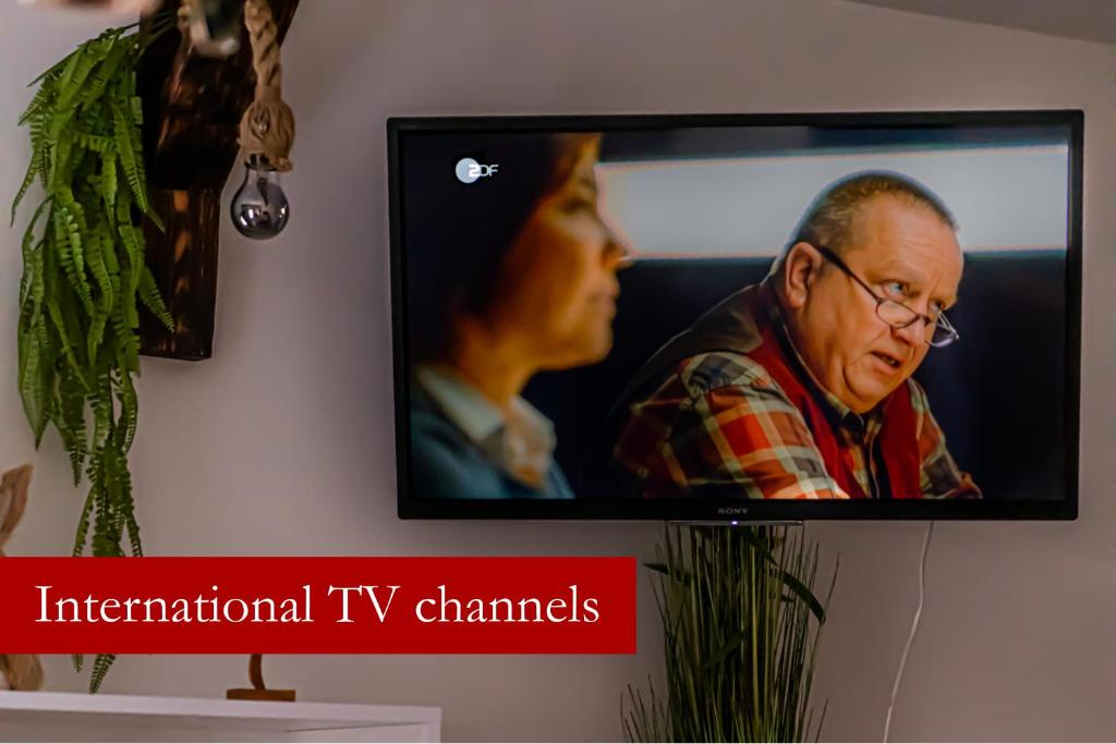 Televízia a/alebo spoločenská miestnosť v ubytovaní Stylowy apartament w historycznej części Gdańska