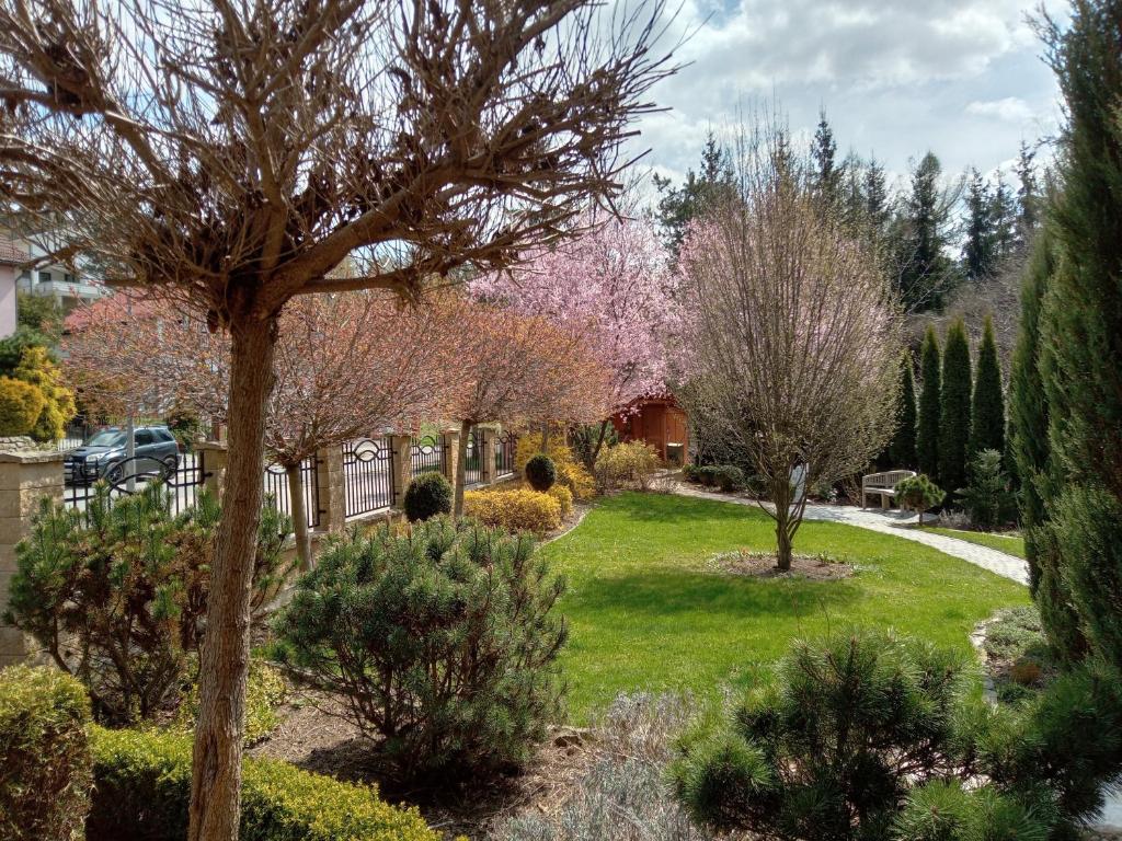 Pokoje Gościnne Monti - 17