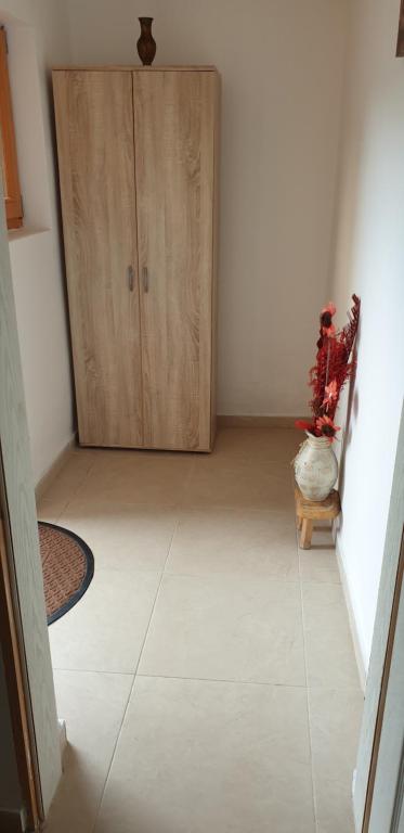 Fotografie z fotogalerie ubytování Apartman Djekovic v destinaci Jošanička Banja