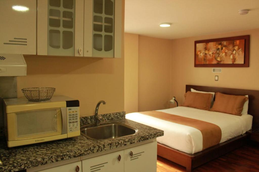 Kuchyň nebo kuchyňský kout v ubytování Hotel Carolina Montecarlo