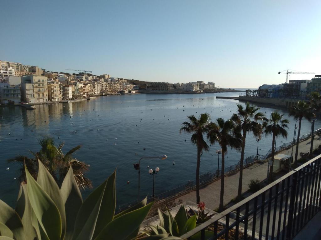 a view of a river with palm trees and buildings at Seafront akwador in Il-Ħamrija