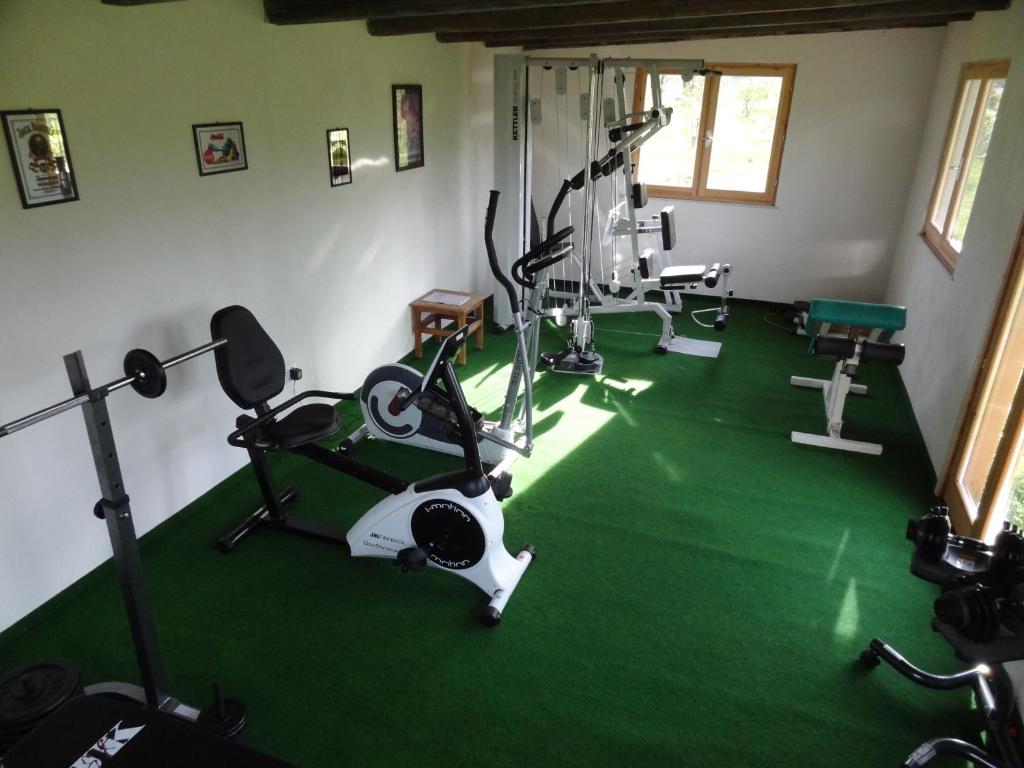 Centrum fitness w obiekcie Villa Piersepp B&B