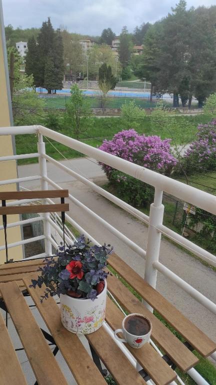 roślina doniczkowa siedząca na drewnianej ławce na balkonie w obiekcie Apartment Simona w mieście Vrnjačka Banja