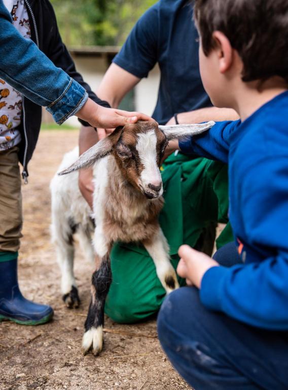 Zwierzęta zatrzymujące się w obiekcie Agriturismo le due querce
