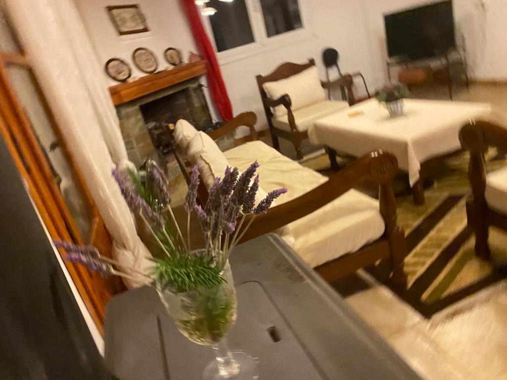 Fotografia z galérie ubytovania Cosy Calm Cottage in olive trees with sea view v destinácii Ermioni