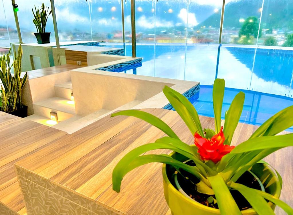 una planta en una olla en una mesa en una habitación en Destiny Hotel en Baños