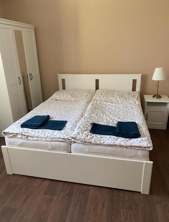 una camera da letto con un letto con cuscini blu di Chalupa u lesa - Nova Ves a Český Rudolec