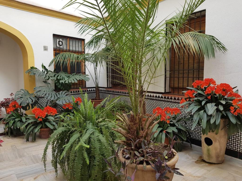 Casa Típica Cordobesa - 1