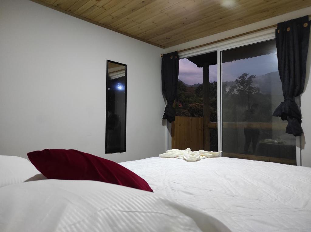 a bedroom with a white bed and a large window at La cabañita VIP in Minca