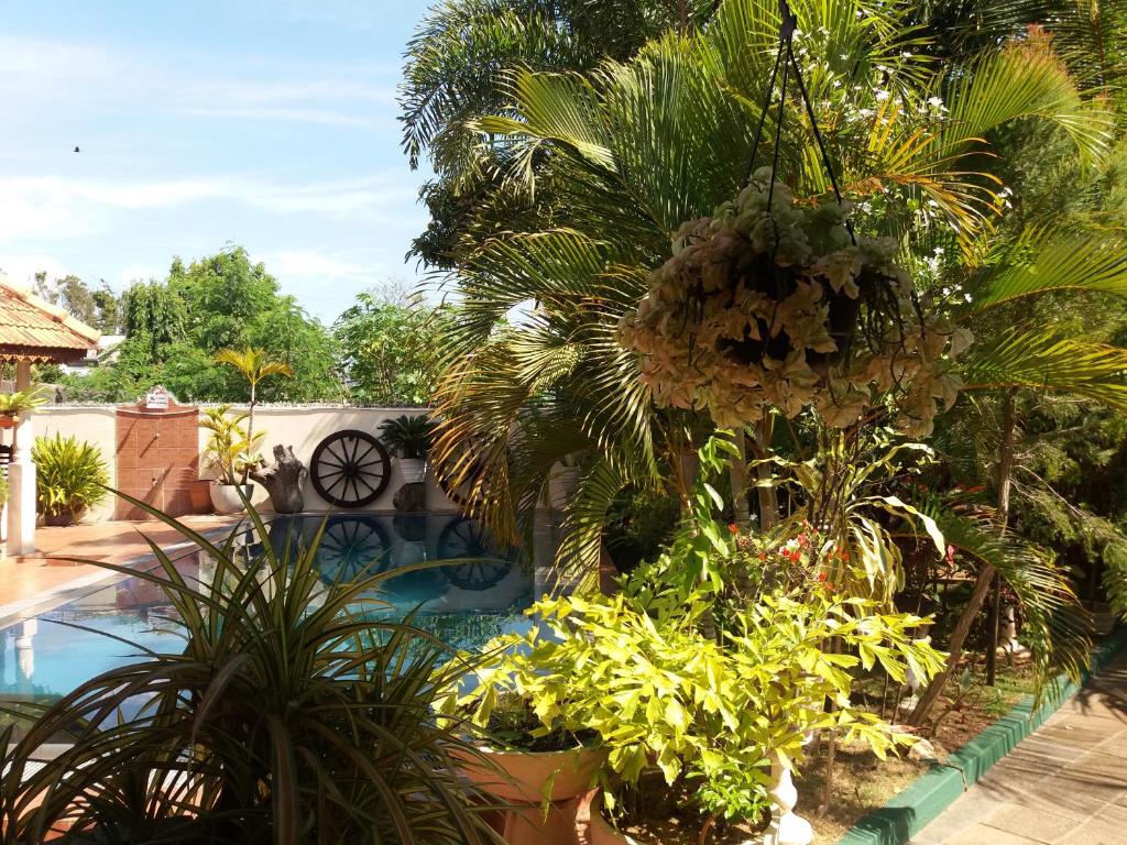 Bazén v ubytování Embiente Guest House nebo v jeho okolí