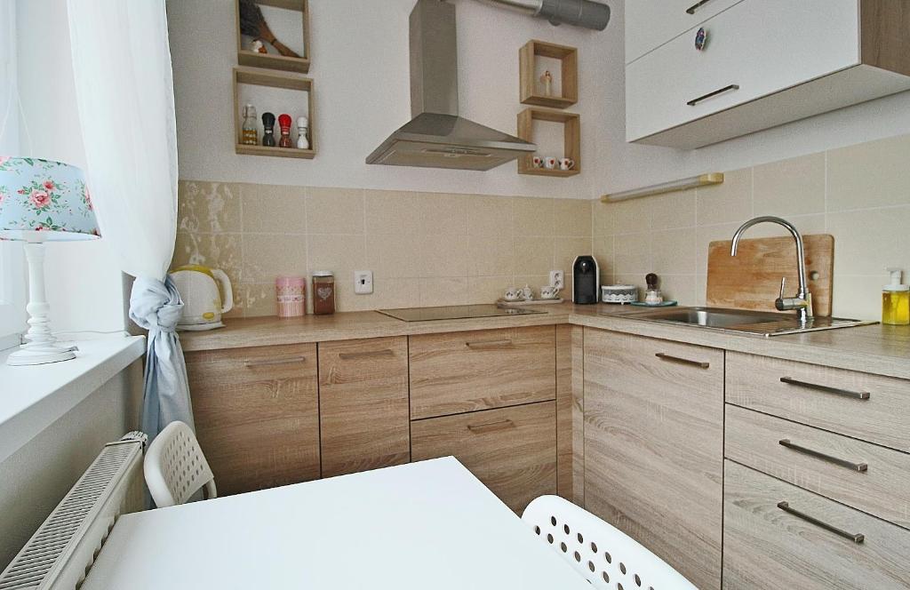Kuchyň nebo kuchyňský kout v ubytování Jediný apartmán Tatranská Štrba