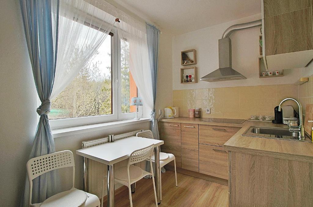 Kuchyň nebo kuchyňský kout v ubytování Jediný apartmán Tatranská Štrba