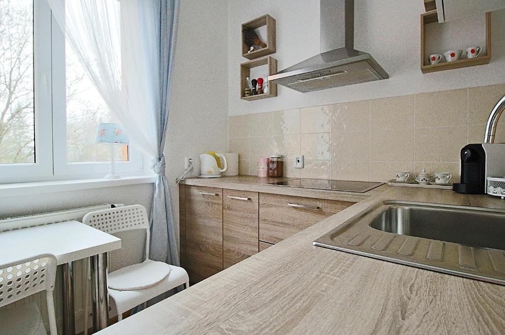 Kuchyň nebo kuchyňský kout v ubytování Jediný apartmán Tatranská Štrba