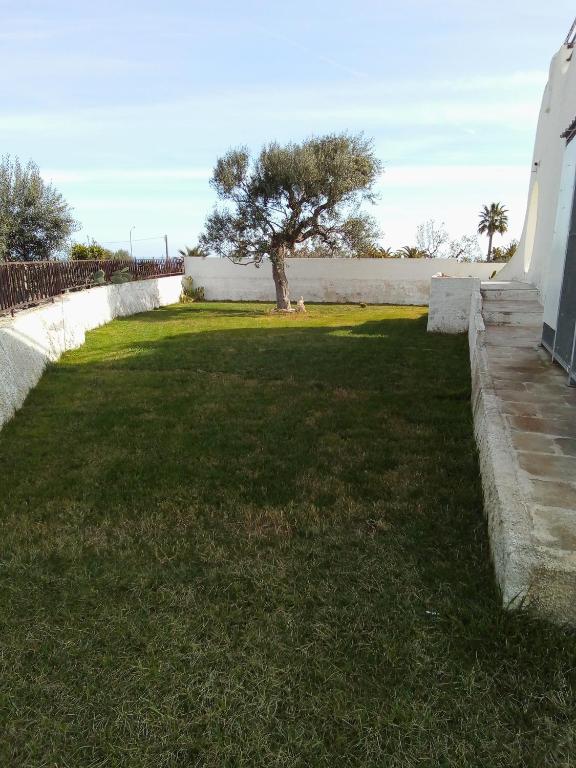 a grassy yard with a tree and a wall at Villa Anna Maria in Polignano a Mare