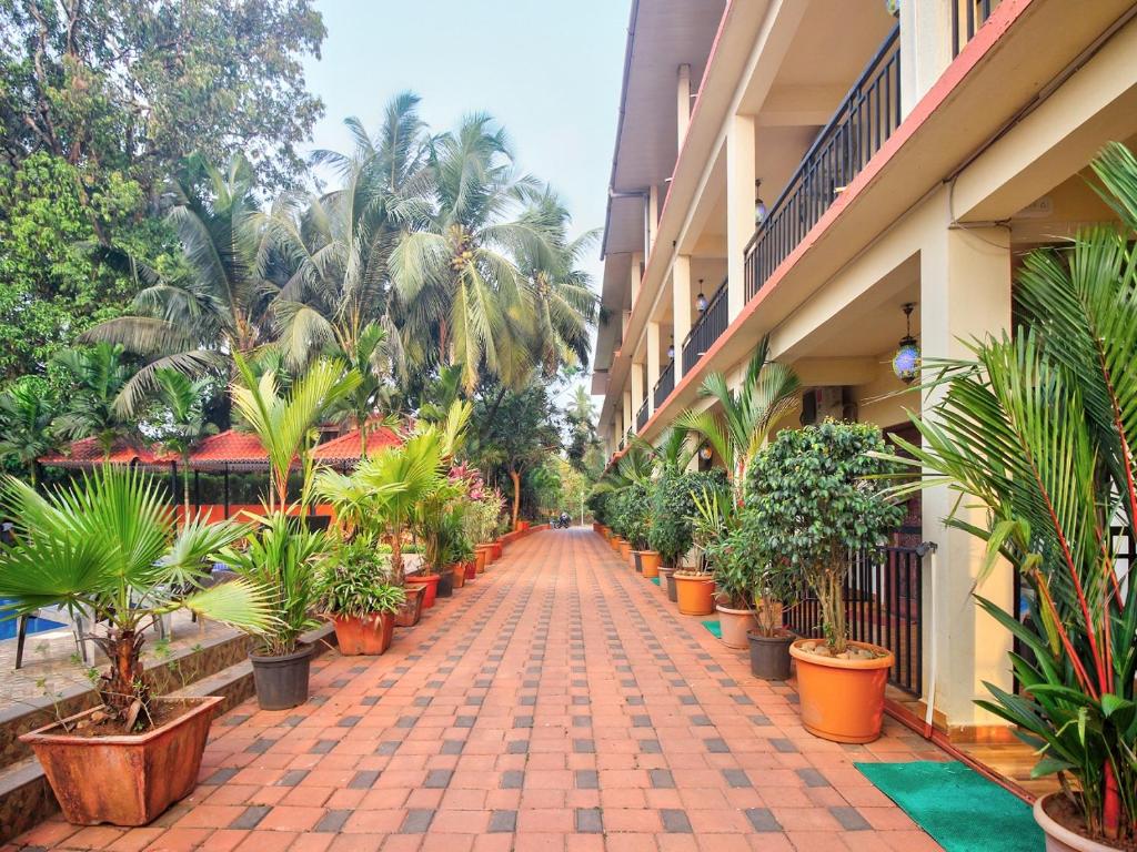 Zahrada ubytování Shrikrishna Studio Goa