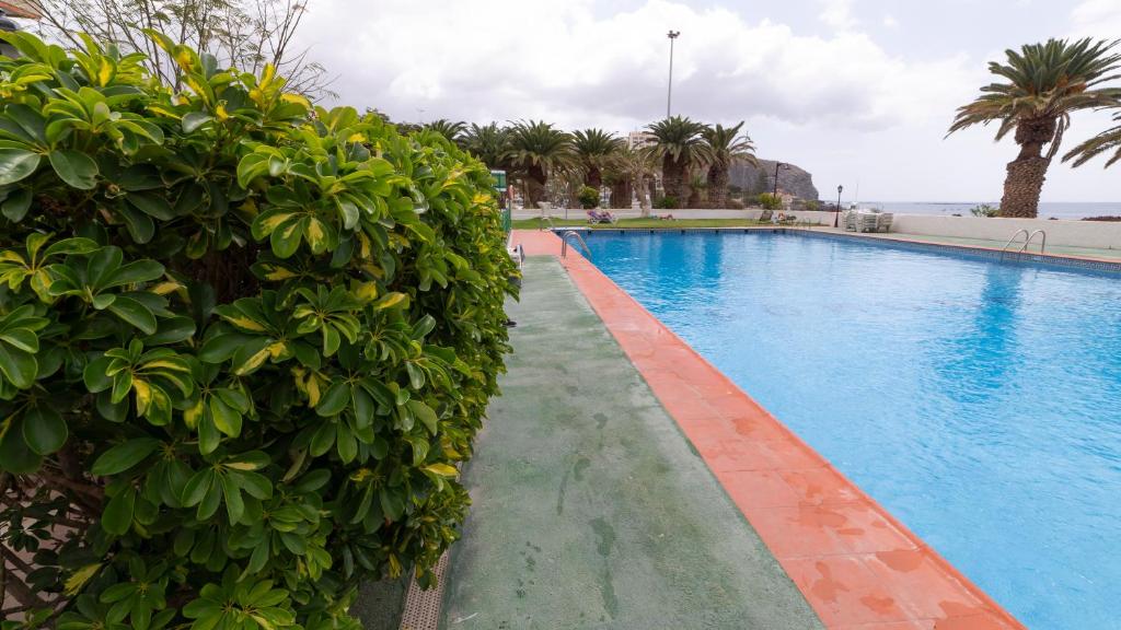 Studio ocean coast Los Cristianos Comodoro, Los Cristianos ...