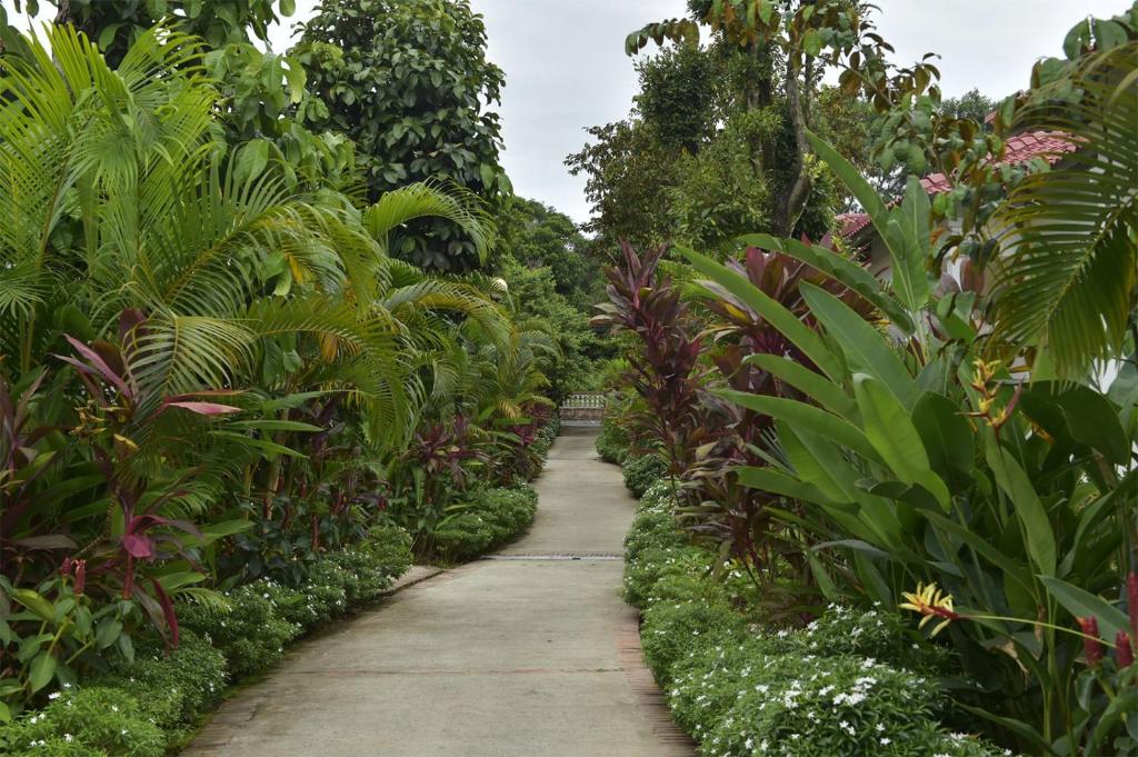 Zahrada ubytování Rainforest Resort Phu Quoc