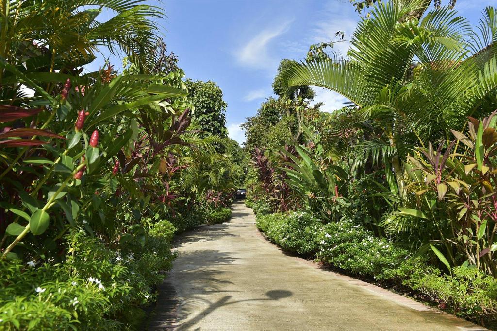 Zahrada ubytování Rainforest Resort Phu Quoc