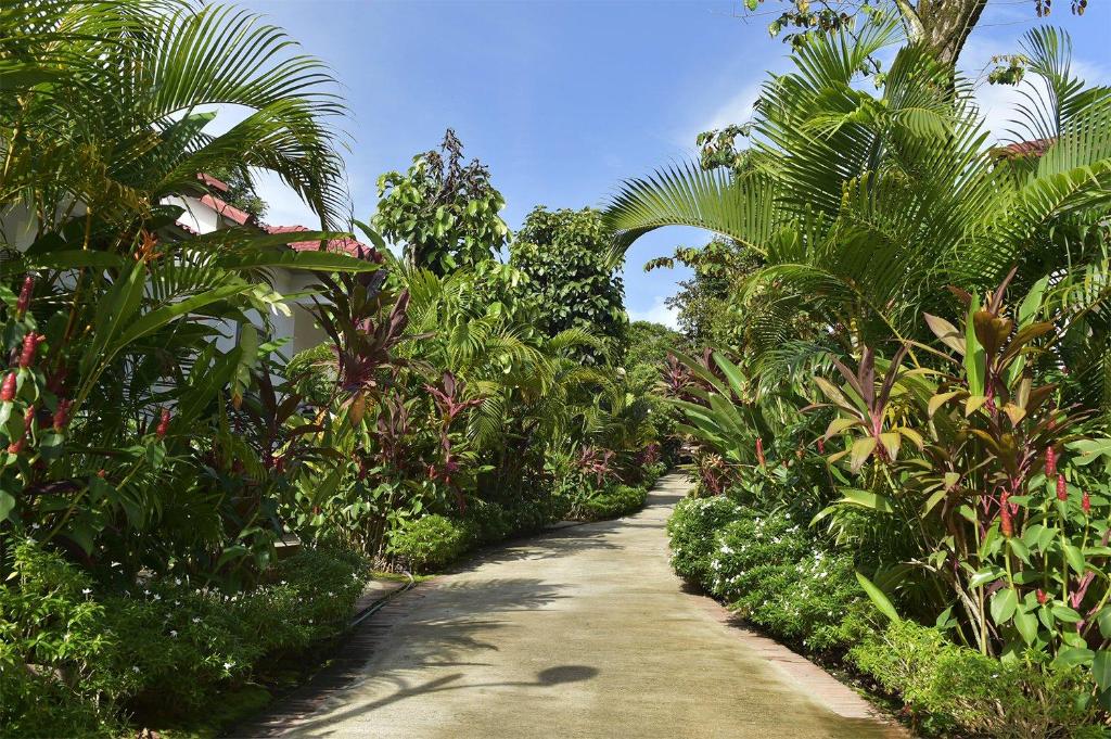 Vườn quanh Rainforest Resort Phu Quoc
