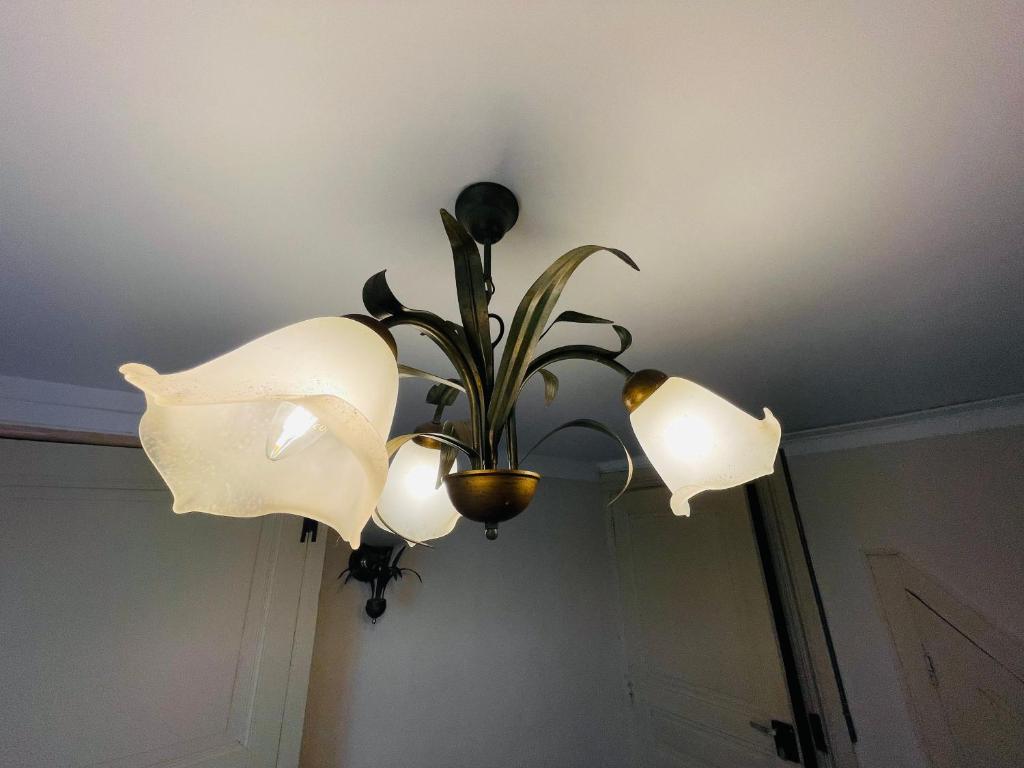 Epicerie Vieille du Puy en Velay - 10