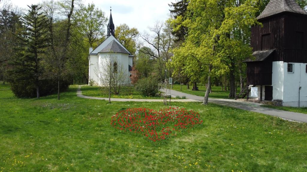 Zahrada ubytování Homestay Poděbrady