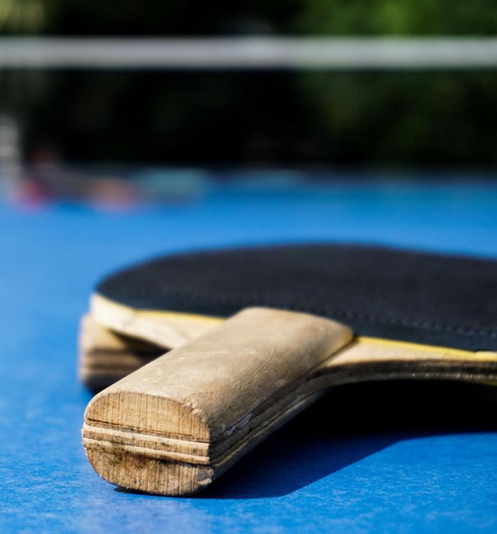 Tenis alebo squash v ubytovaní No Stress Panzió-Pizzéria-Sporttábor alebo jeho okolí