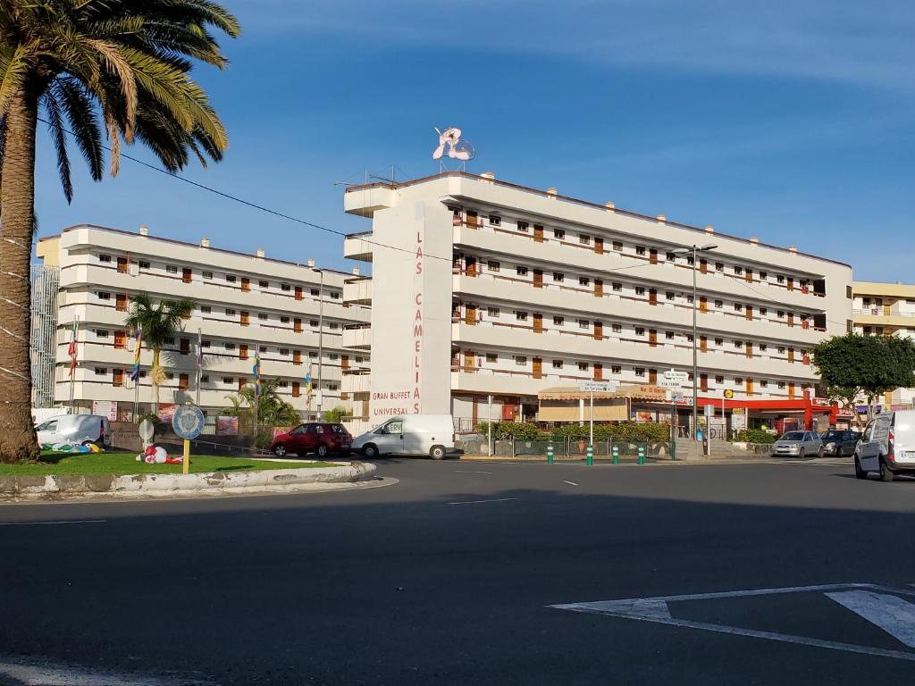Fotografie z fotogalerie ubytování Las Camelias Apartments CI15 v destinaci Playa del Ingles