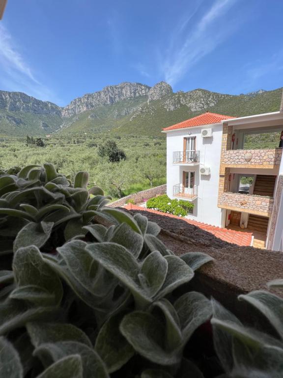 Fotografie z fotogalerie ubytování Atalanti Apartments v destinaci Kyparissia