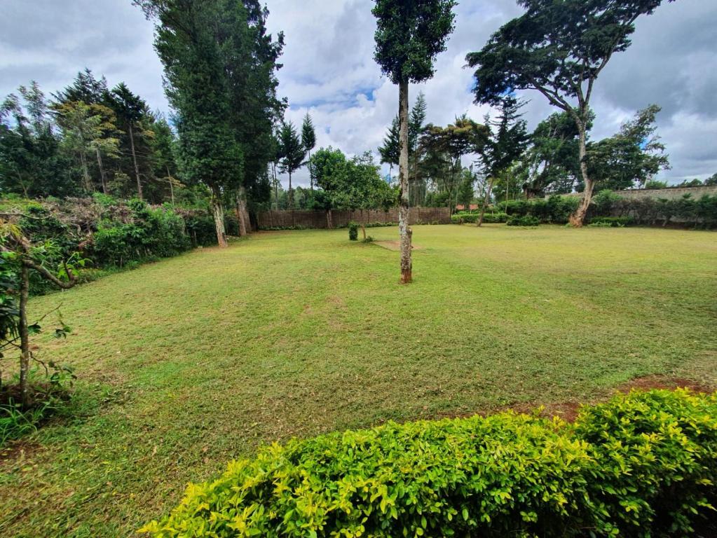 a field with a tree in the middle of it at Thayo Place in Nyeri