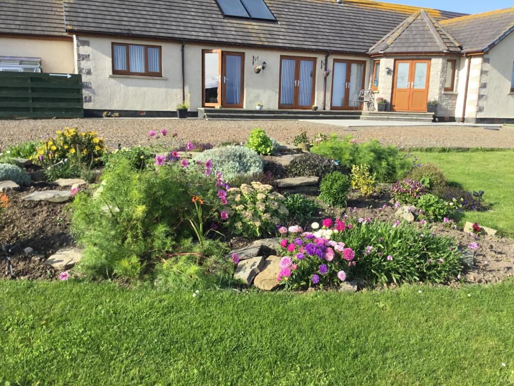 un jardin avec des fleurs en face d'une maison dans l'établissement A Castle View, à Keiss