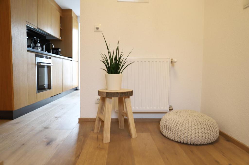 Kuchyň nebo kuchyňský kout v ubytování Bio Apartment - Der Steinadler