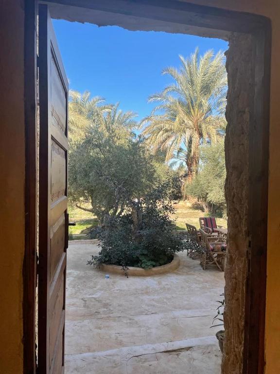 Fotografie z fotogalerie ubytování Sleep In Siwa v destinaci Siwa