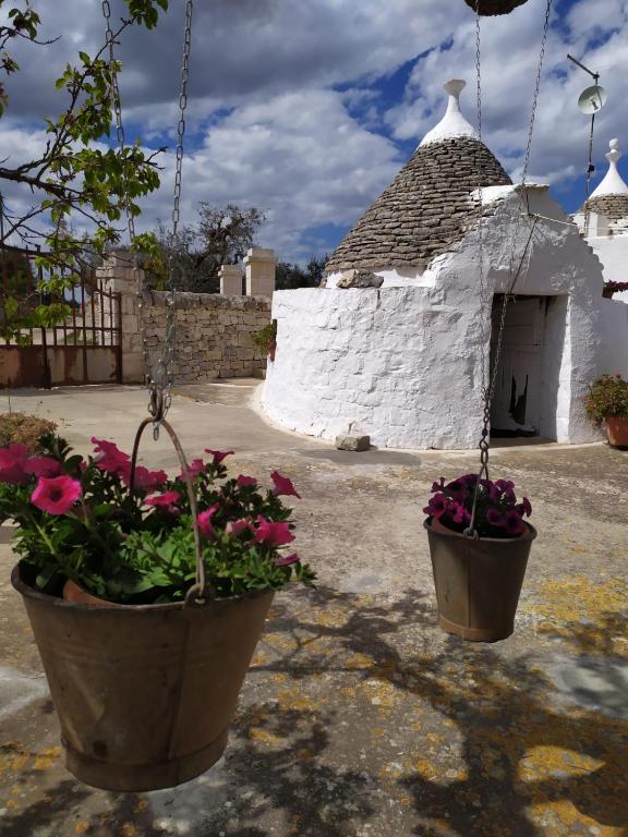 dwa kwiaty doniczkowe przed białym budynkiem w obiekcie Trulli Demetra w mieście Martina Franca