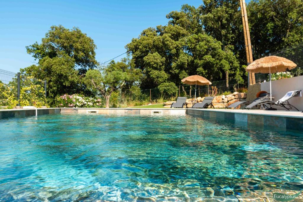 a large swimming pool with chairs and umbrellas at Le Clos des Eucalyptus in Plan-de-la-Tour