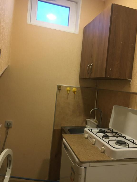 Kuchyň nebo kuchyňský kout v ubytování Apartment Zaziashvili 30