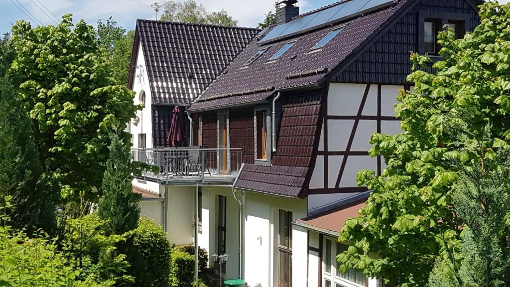 a house with black and white roofs and trees at Ferienwohnung Altenbrak Haus Wilde in Thale