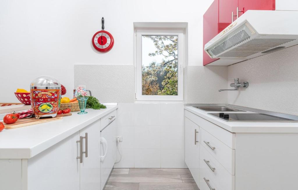 Kuchyňa alebo kuchynka v ubytovaní Luxury New !!! Apartment One and Only with terrace & free bikes