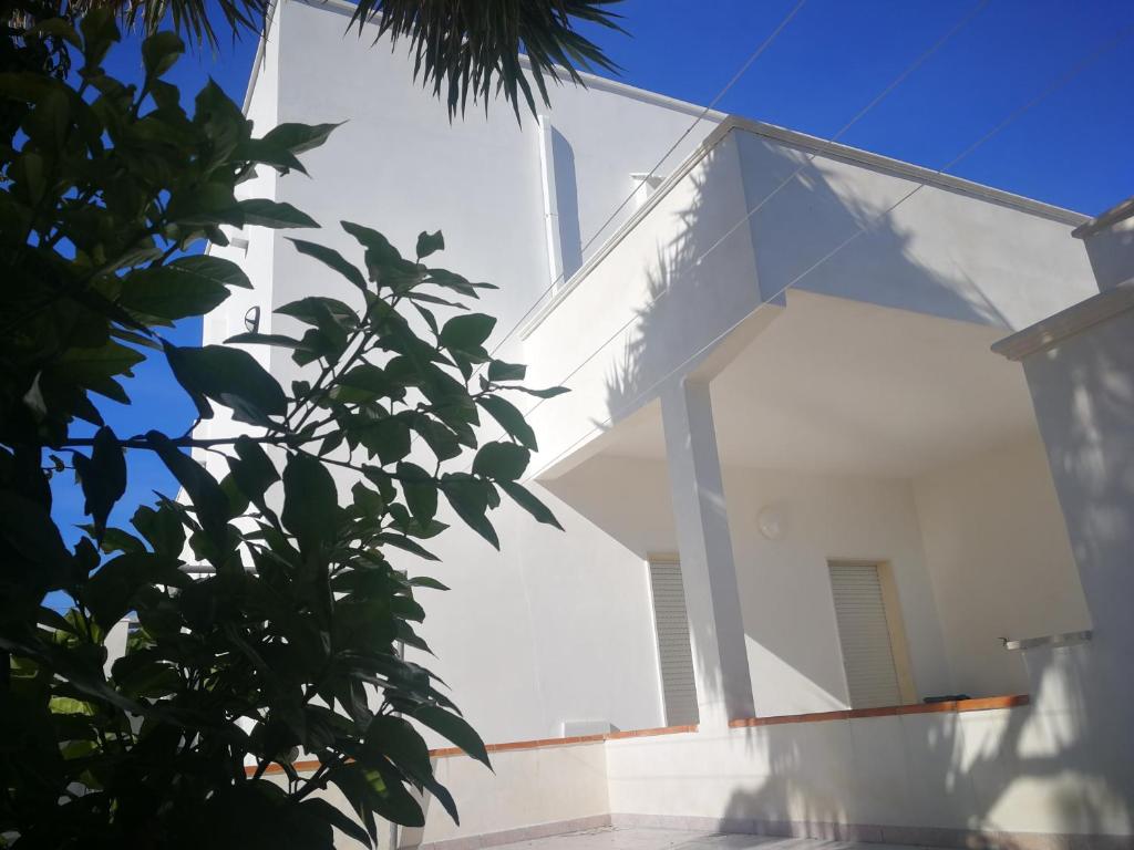 una casa blanca con un árbol en primer plano en Ninnihouses, en Maruggio