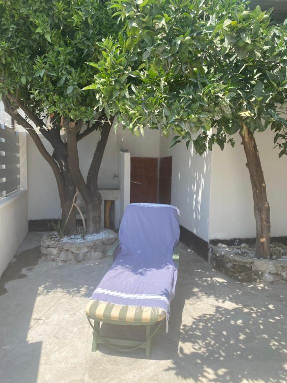 Appartamento al mare Caminia - Housity