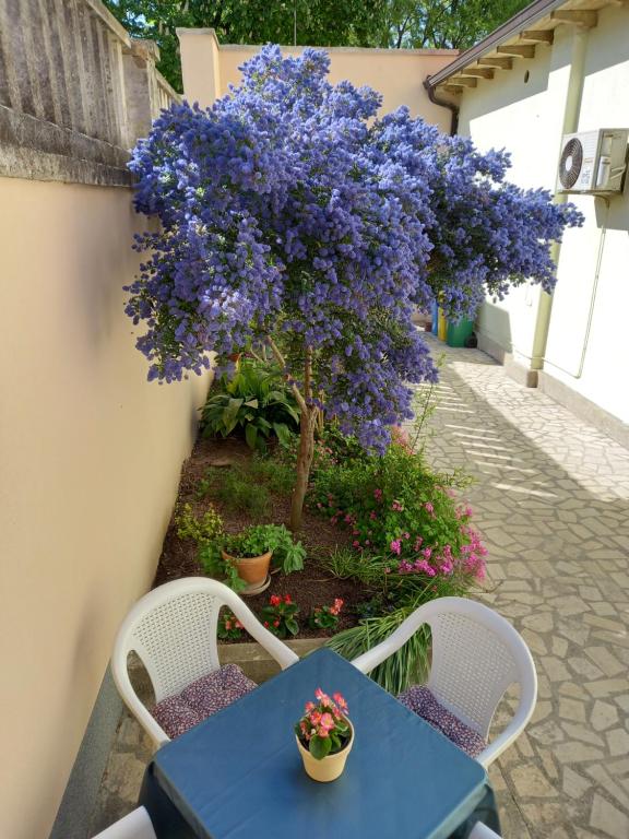 Ogród w obiekcie Apartment Punta