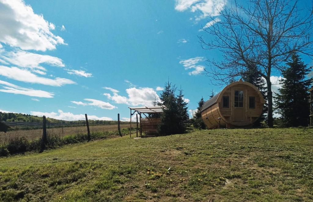 Příroda nedaleko apartmánu