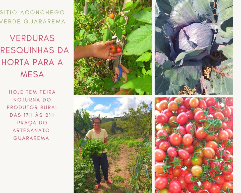 Zahrada ubytování Sitio Aconchego Verde Guararema