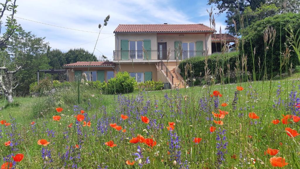 Excellent Sarlat - One-Bedroom House