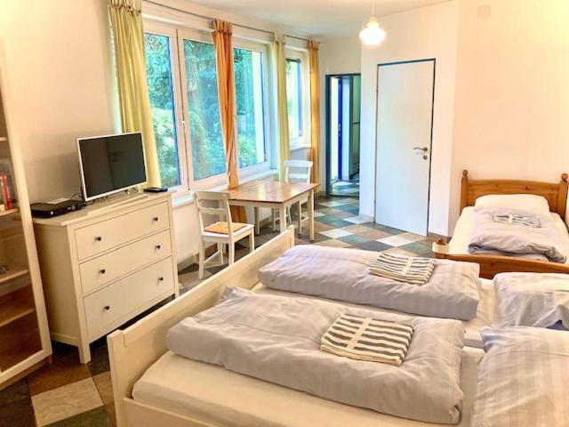 1 Schlafzimmer mit 2 Betten und einem Tisch mit einem TV in der Unterkunft Blumental Apartment II in Wien
