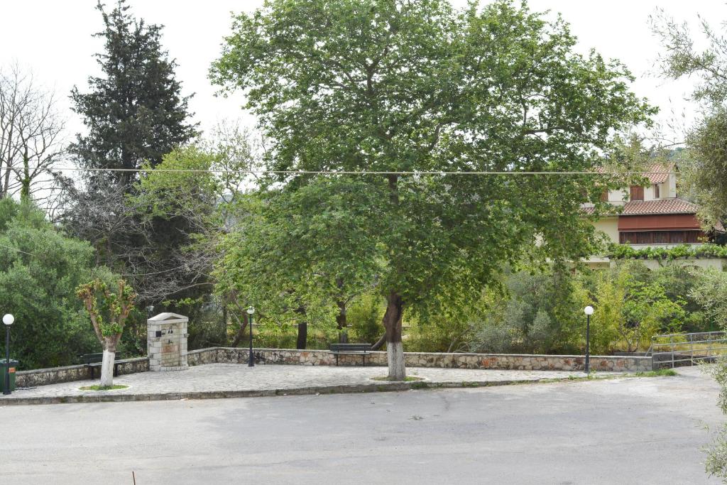 Fotografia z galérie ubytovania IL SEGRETO DI VARDA v destinácii Apolpaina