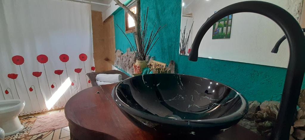 ein Bad mit einem schwarzen Waschbecken im Zimmer in der Unterkunft Casa de Montaña Las Trancas in Villa Unión
