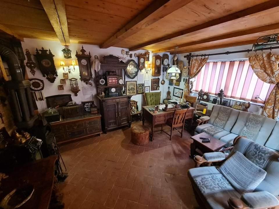 a living room with a couch and a table at Pensiunea Otilia in Sighişoara